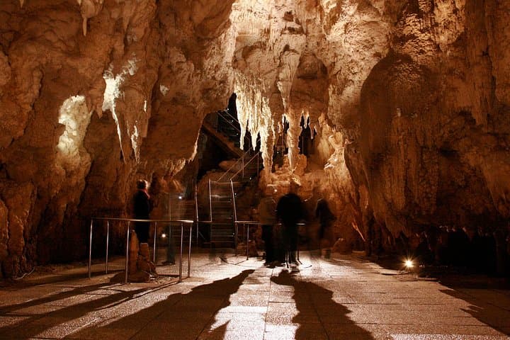 Auckland to Waitomo Glowworm Caves Private Tour — Day Trip from Auckland photo 6
