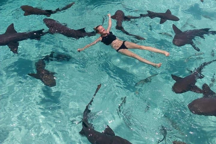 Exuma Day Away: Original Swimming Pigs Excursion from Nassau photo 5