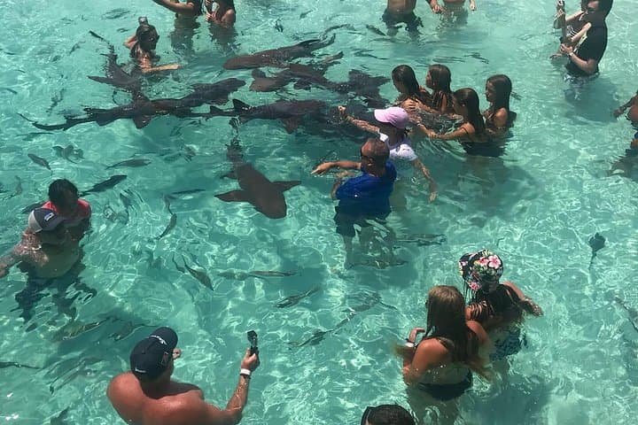 Exuma Day Away: Original Swimming Pigs Excursion from Nassau photo 6