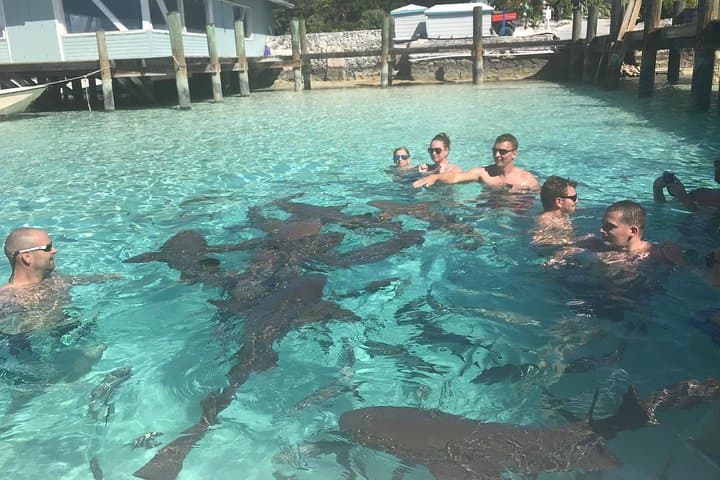 Exuma Day Away: Original Swimming Pigs Excursion from Nassau photo 3