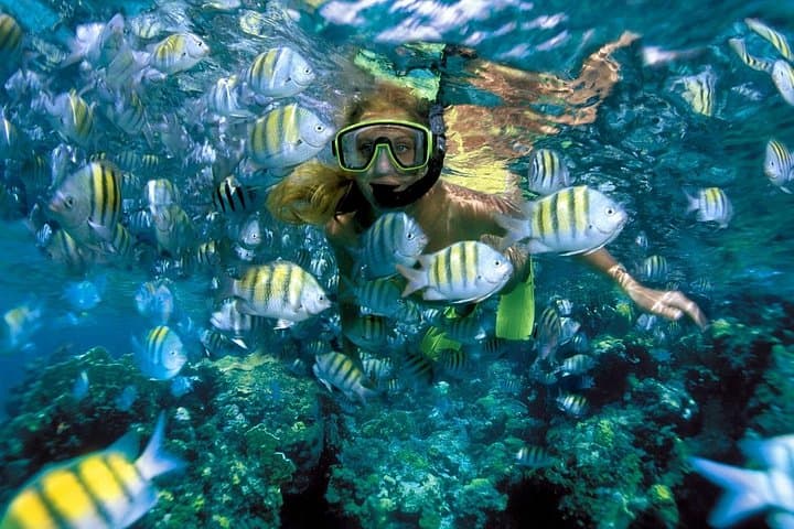Snorkel Isla Mujeres Underwater Museum and Catamaran Day Trip from Cancun photo 6