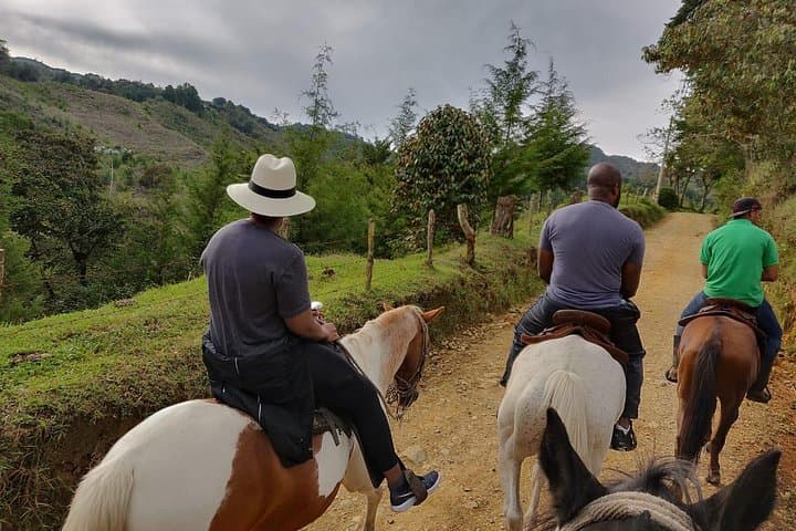 Horseback Riding Near Bogotá: Scenic Andean Day Ride from the City photo 3