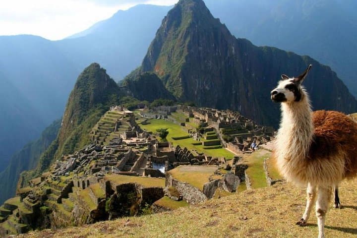 Machu Picchu Official Ticket: Explore the Lost Citadel at Your Own Pace photo 3