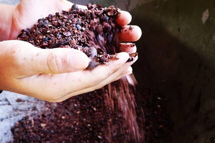 Quepos Chocolate, Coffee & Trapiche Tour — Hands-On Cacao and Sugarcane Experience
