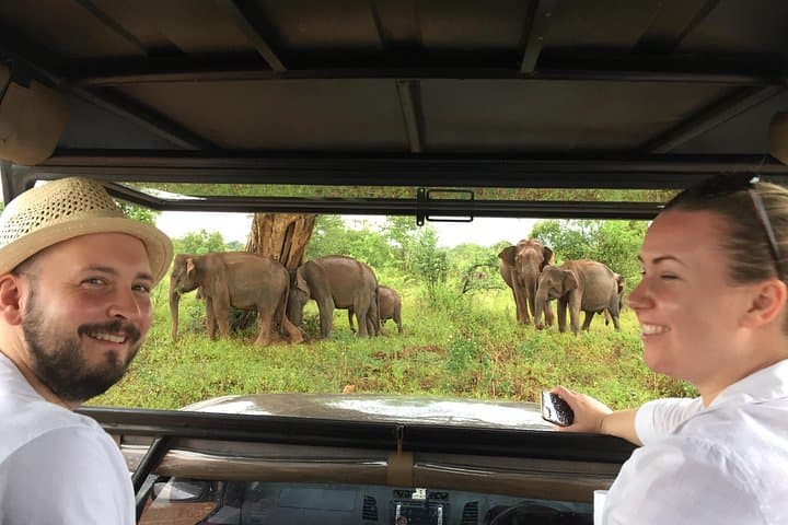 Udawalawe Safari & Elephant Transit Home — Half-Day Wildlife Drive in Sri Lanka photo 1