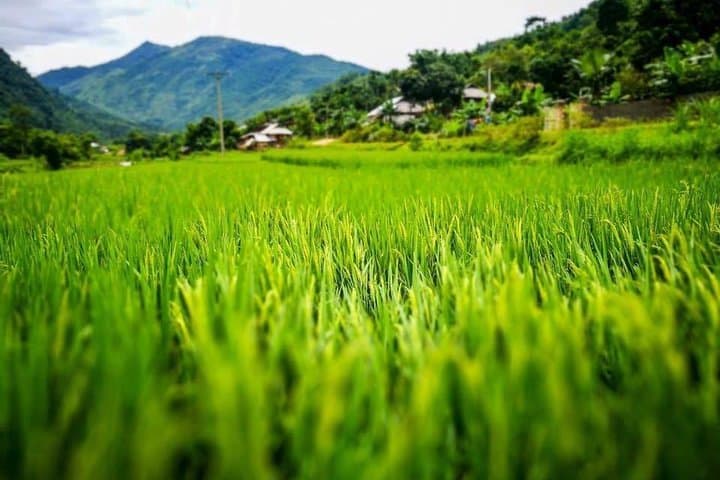 Dalat to Nha Trang: Hon Ba Nature Reserve One‑Way Adventure photo 2