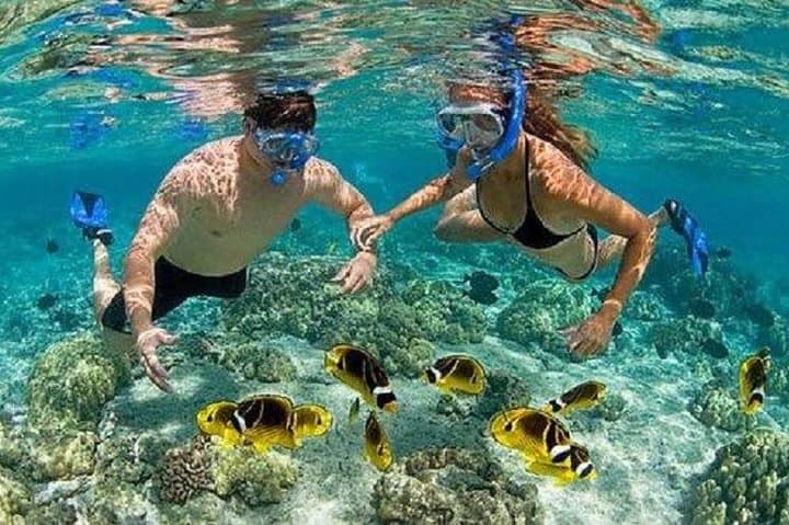 Blue Lagoon Bali Snorkeling: Snorkel Two Reefs with Pickup and Lunch photo 2