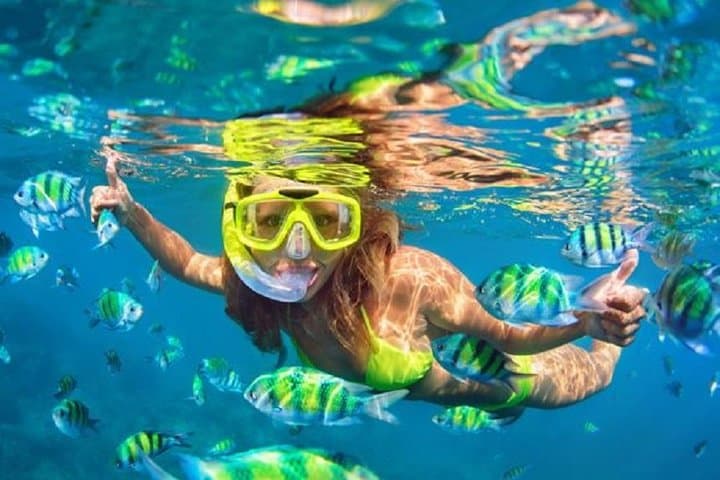Blue Lagoon Bali Snorkeling: Snorkel Two Reefs with Pickup and Lunch photo 3