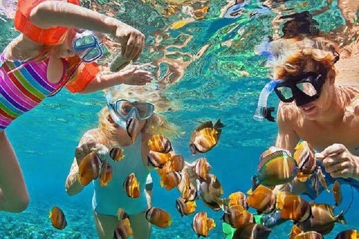 Blue Lagoon Bali Snorkeling: Snorkel Two Reefs with Pickup and Lunch