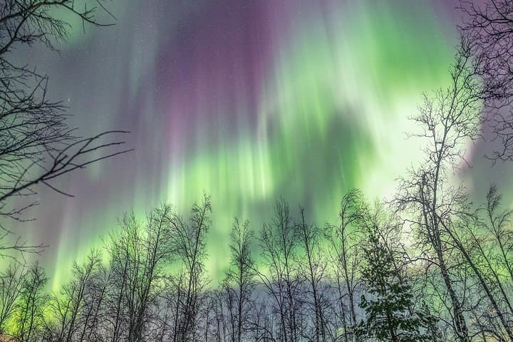Private Northern Lights Tour in Tromsø — Personalized Aurora Chase with Greenlander photo 3