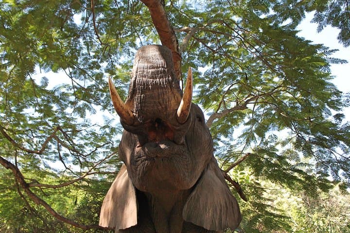 4-Day Private Kruger Safari from Johannesburg — Big Five, Blyde Canyon & Panoramic Highlights photo 2