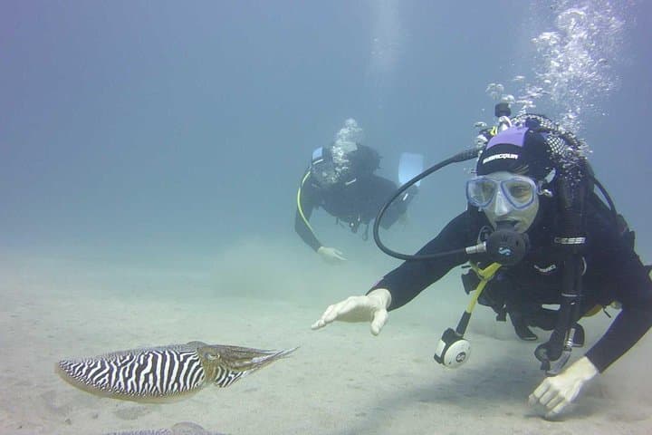 PADI Open Water Diver Course in Tenerife: Discover the Volcanic Reefs photo 4