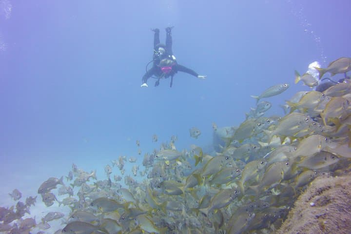 PADI Open Water Diver Course in Tenerife: Discover the Volcanic Reefs photo 6