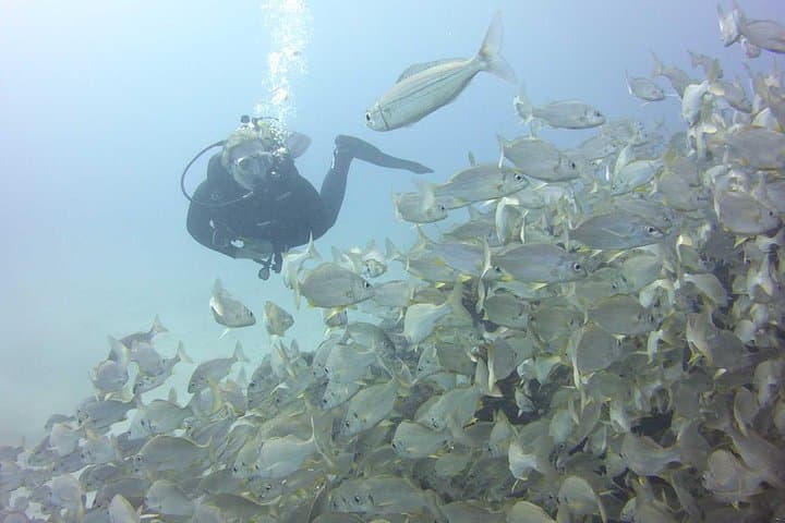 Tenerife Two‑Dive Package: Small‑Group Guided Scuba with Refreshments photo 4