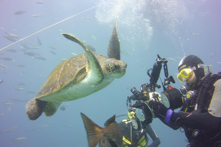 Tenerife Two‑Dive Package: Small‑Group Guided Scuba with Refreshments photo 6