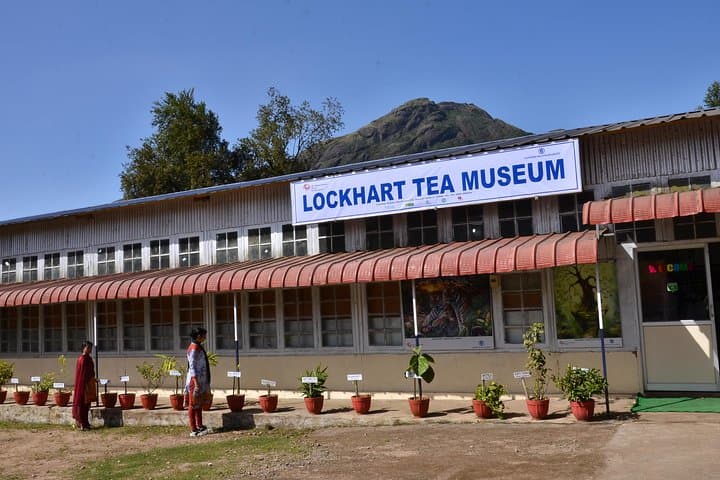 Cochin to Munnar Tranquil Trails: 3-Day Private Tea-Country Escape photo 5