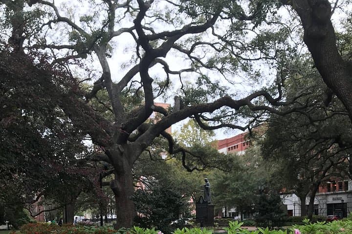 Welcome to Savannah: Guided Historic Walking Tour of the Historic District photo 3