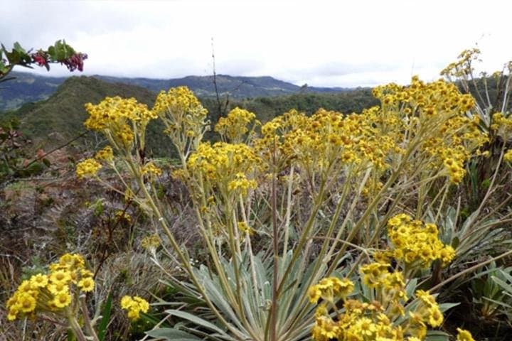 Guatavita Lake: Guided Visit to the Muisca Lagoon Near Bogotá photo 2
