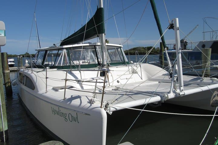 Daytona Beach Catamaran Dolphin and Manatee Watch — 90‑Minute Sailing Tour photo 5