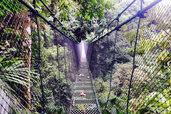 Mulguri Waterfalls Manuel Antonio: Hidden Jungle Pools & Local Lunch photo 4
