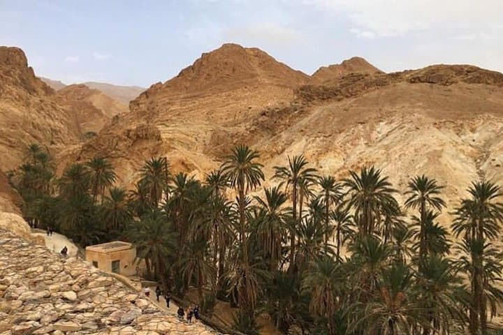 Half-Day Mountain Oases Excursion from Tozeur — Chebika, Tamerza & Mides