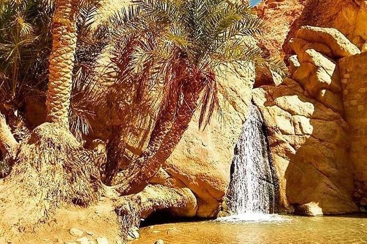 Half-Day Mountain Oases Excursion from Tozeur — Chebika, Tamerza & Mides photo 2