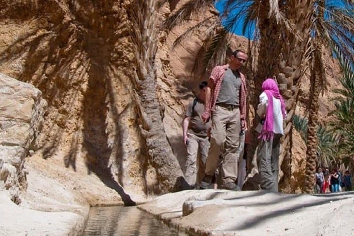 Half-Day Mountain Oases Excursion from Tozeur — Chebika, Tamerza & Mides photo 4
