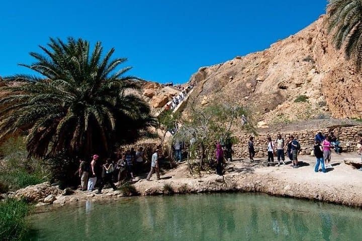 Half-Day Mountain Oases Excursion from Tozeur — Chebika, Tamerza & Mides photo 5