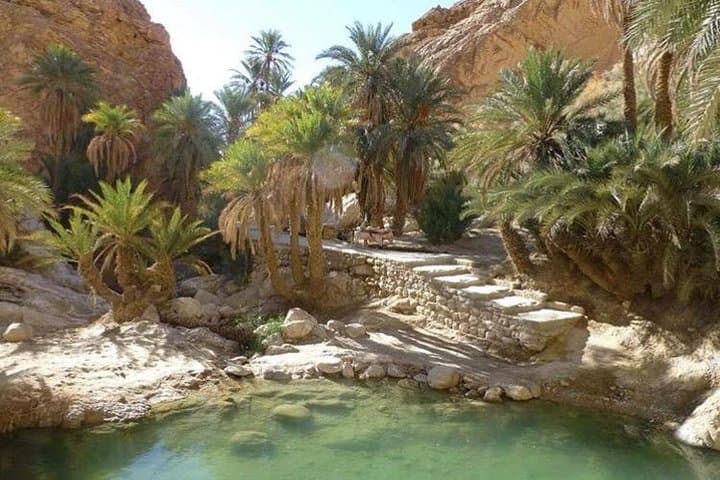 Half-Day Mountain Oases Excursion from Tozeur — Chebika, Tamerza & Mides photo 6