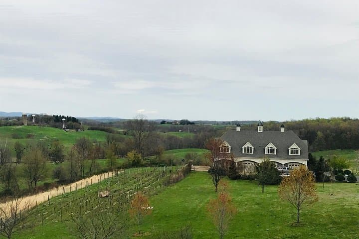 Private Virginia Wine Tasting Day Tour from Washington DC photo 3