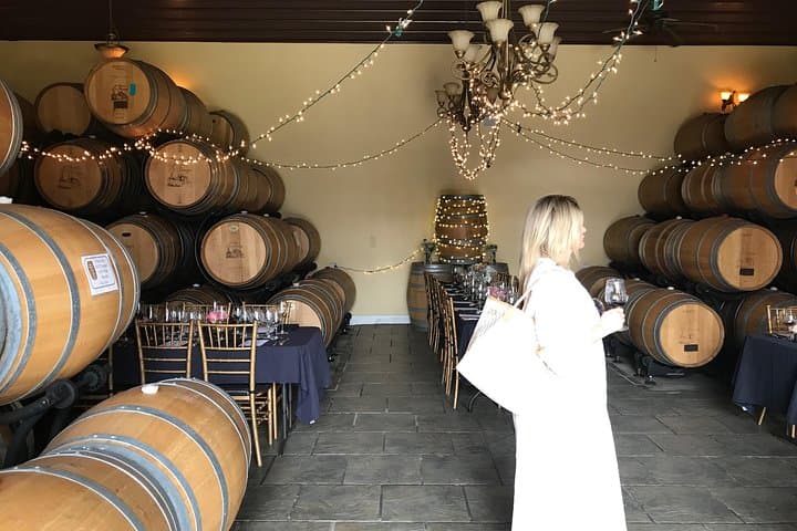 Private Virginia Wine Tasting Day Tour from Washington DC photo 4