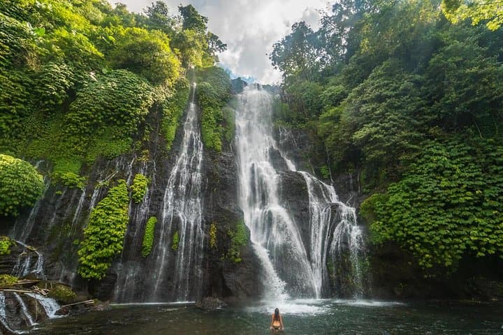 Sunrise Dolphins and North Bali Highlights: Lovina to Bedugul Private Tour photo 3
