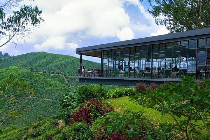Day Trip to Cameron Highlands: Tea Plantations, Waterfalls & Strawberry Picking