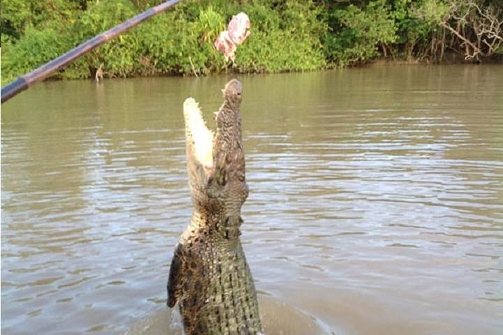 Litchfield National Park & Private Jumping Crocodile Cruise from Darwin photo 5