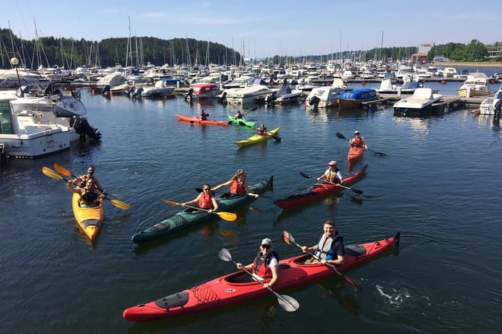 Oslofjord Kayak Tour: 3-Hour Guided Paddle from Sjølyst Marina photo 4