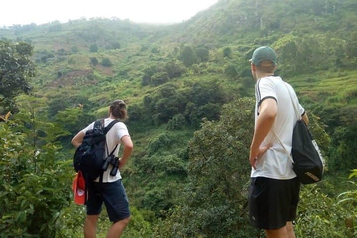 Uluguru Mountains Day Hike to Choma Waterfalls — Morogoro Adventure Guide photo 5