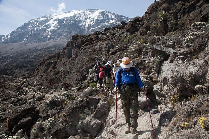 Mount Kilimanjaro Day Hike — Marangu Route Sneak Peek from Arusha or Moshi