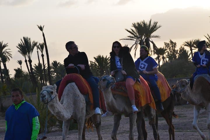 Camel Ride Through the Palmeraie: A 2-Hour Marrakech Experience photo 5