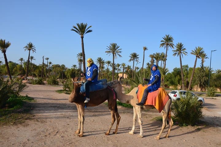 Camel Ride Through the Palmeraie: A 2-Hour Marrakech Experience photo 4