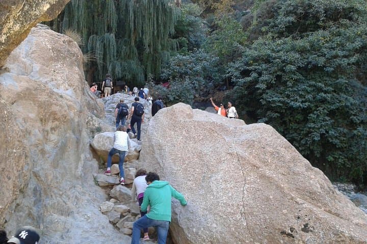 Full-Day Ourika Valley Tour: Atlas Waterfalls, Berber Villages & Nectarome Distillery photo 4