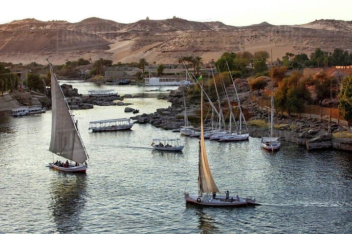 Private Motorboat to Nubian Village from Aswan — 2-Hour Cultural Tour photo 3