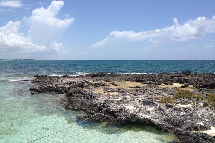 Freeport Snorkeling at Peterson Cay National Park with Resort Day Pass photo 4