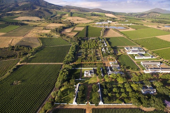 10-Day Cape Town and Garden Route Tour: Cape Peninsula, Winelands & Addo Safari photo 5