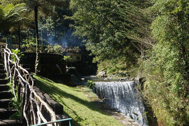 Santana Day Tour: Laurissilva Forest & Traditional Thatched Houses photo 3