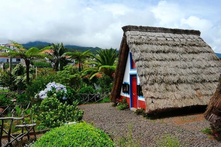 Santana Day Tour: Laurissilva Forest & Traditional Thatched Houses photo 4