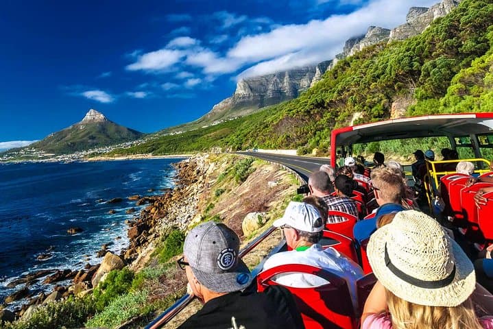 10-Day Cape Town and Garden Route Tour: Cape Peninsula, Winelands & Addo Safari photo 6