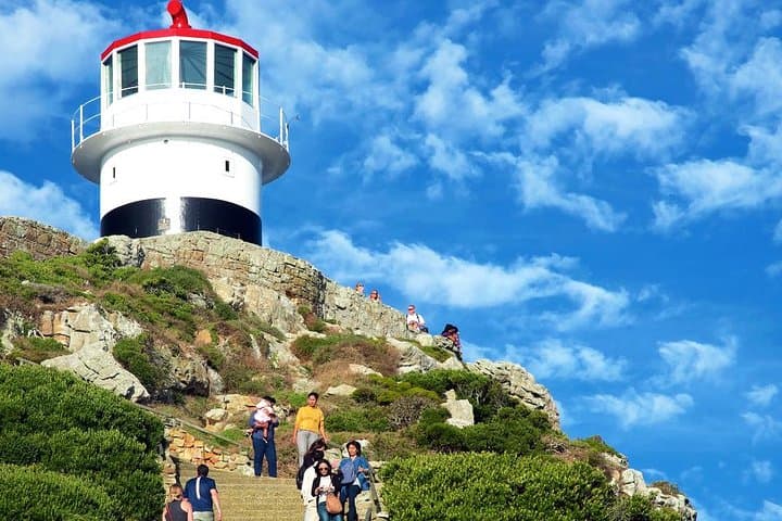 Cape Point & Boulders Beach Day Tour from Cape Town — Penguins, Seals & Chapman's Peak photo 4