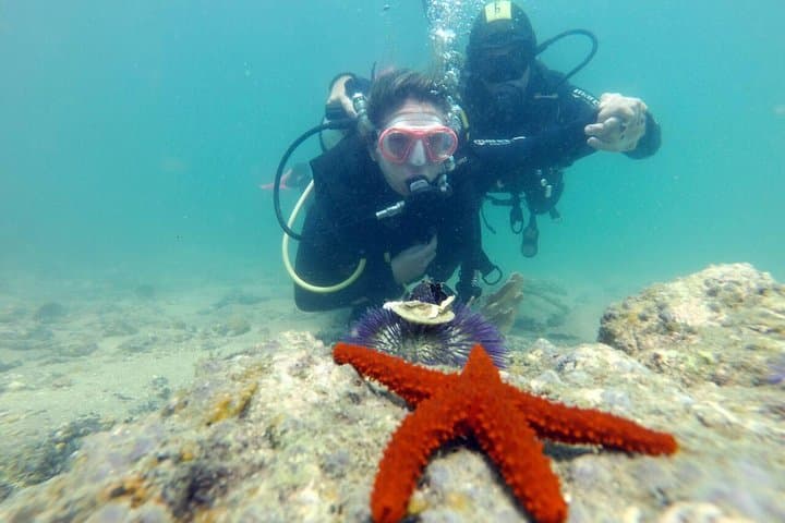 Búzios João Fernandes Diving Baptism — Beginner Scuba Experience photo 4