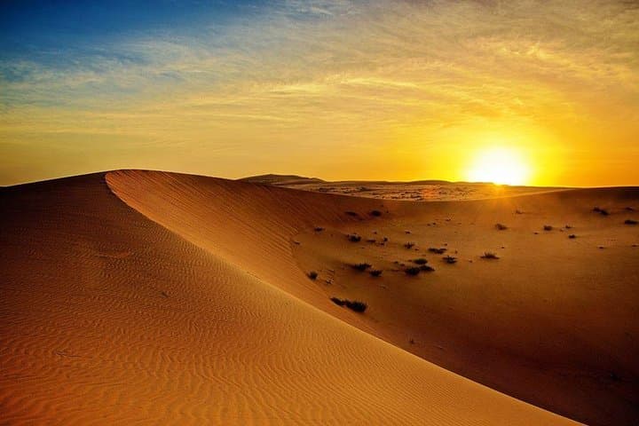 Sunrise Desert Safari from Abu Dhabi: Dune Bashing, Camel Farm & Sandboarding photo 3