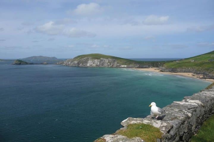 5-Day Ireland Highlights Tour: Cliffs of Moher, Ring of Kerry & Dingle from Dublin photo 5